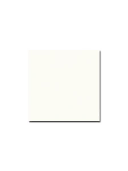 Pavimento porcelánico Alameda-R Nácar 20x20 cm (1 m2/cj) 4 Pavimento porcelánico Alameda-R Nácar 20x20 cm. Una serie de azulejos efecto hidráulico.