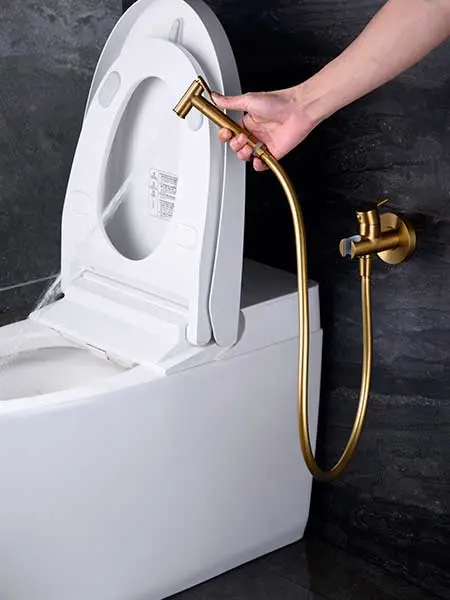 dusch wc duchas para el inodoro Ducha Higiénica para WC: Alternativa al Bidé Adrihosan