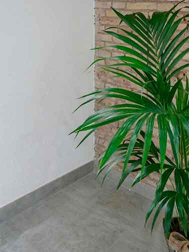 Planta verde de interior colocada junto a una pared de ladrillo visto y suelo gris.